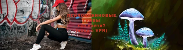 хмурый Верхний Тагил