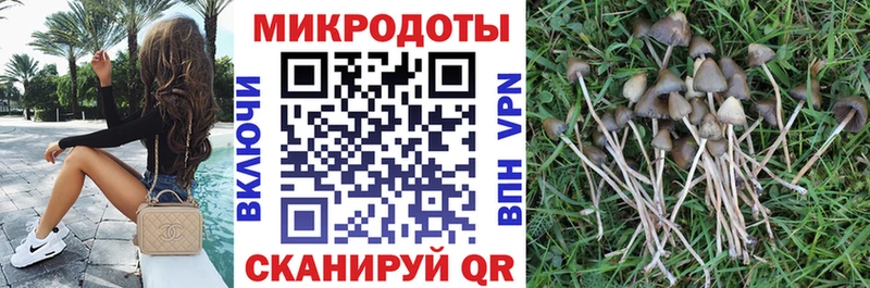 Псилоцибиновые грибы Psilocybe  Купить  Гусь-Хрустальный 